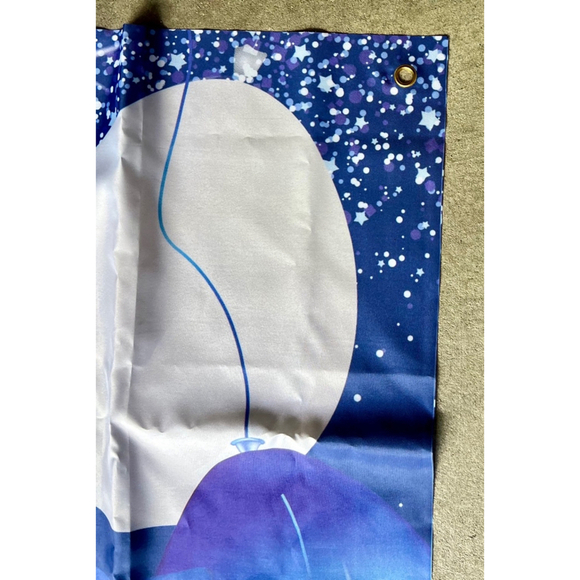 13 YEAR OLD BIRTHDAY BANNER - Picture 7 of 8